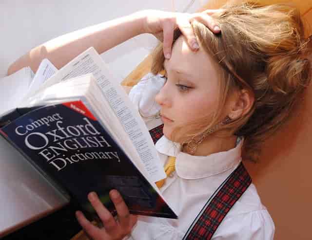行政書士の仕事は英語で差別化できる？おすすめ資格も